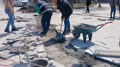 PARK VE BAHÇELER MÜDÜRLÜĞÜ’NDEN KENT GENELİNDE YOĞUN ÇALIŞMA